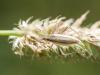 307837 – Photo : BourrinOman – France (05)