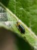 307891 – Photo : BourrinOman – France (05)