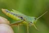 307433 – Photo : florent besson – France (18)