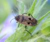 307653 – Photo : Catherine Reymonet-Smitten – France (19)