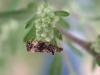 307877 – Photo : Dominique THAUVIN – France (45)