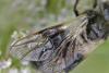 307805 – Photo : Eugène Vandebeulque – France (45)