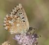 307499 – Photo : éric Pensa – France (13)