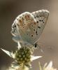 307498 – Photo : éric Pensa – France (13)