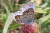 307583 – Photo : timphotos – France (29)