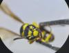 307671 – Photo : Maxime Zucca – France (26)