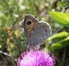 308748 – Photo : Philippe Fourtier – France (38)