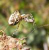 308915 – Photo : Philippe Fourtier – France (38)