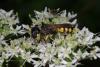 308891 – Photo : Michel Renou – France (91)