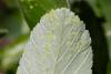 308081 – Photo : Pierre Duhem – France (05)