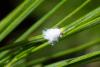 308166 – Photo : Pierre Duhem – France (05)