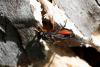 308419 – Photo : Pierre Duhem – France (05)