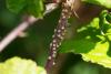 308347 – Photo : Pierre Duhem – France (17)