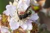 308657 – Photo : Pierre Duhem – France (17)