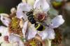 308658 – Photo : Pierre Duhem – France (17)