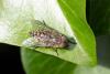 308681 – Photo : Pierre Duhem – France (17)
