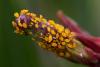 308898 – Photo : Pierre Duhem – France (17)
