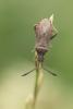 308356 – Photo : Philippe Vallet – France (73)