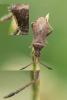 308539 – Photo : Philippe Vallet – France (73)