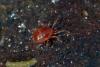 308051 – Photo : Christophe Quintin – France (22)
