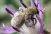308085 – Photo : Olivier Pouvreau – France (17)