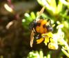 308530 – Photo : Bruno RIGHETTI – France (73)