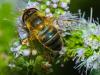 308301 – Photo : Florian ALONSO – France (21)