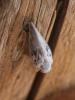 308581 – Photo : BourrinOman – France (83)