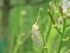 308331 – Photo : Denis Bucaille – France (60)