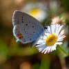 308959 – Photo : Cédric Mondy – France (56)