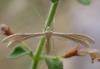 308447 – Photo : H. Dumas – France (13)
