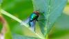 308481 – Photo : Patrice Giraudeau – France (17)