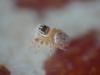 309606 – Photo : florent besson – France (11)