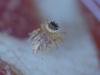 309607 – Photo : florent besson – France (11)