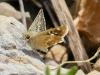 309610 – Photo : florent besson – France (11)
