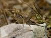 309616 – Photo : florent besson – France (11)