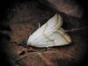 309364 – Photo : Mathis Garro – France (83)