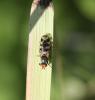 309488 – Photo : Olivier BENOIST – France (76)
