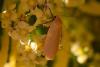 309010 – Photo : Pierre Duhem – France (16)