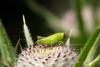 309080 – Photo : Pierre Duhem – France (16)