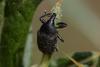 309466 – Photo : Pierre Duhem – France (16)
