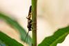 309823 – Photo : Pierre Duhem – France (73)