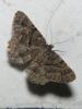 309353 – Photo : Jean-Jacques PORTENEUVE – France (83)