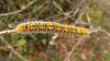 309732 – Photo : Sylvain Fadda – France (83)