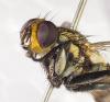 309131 – Photo : Bernard Perthuis – Guyane française