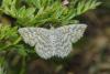 309566 – Photo : Thierry Madigou – France (39)