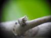 309661 – Photo : Mathis Garro – France (83)