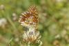 309733 – Photo : Thierry Madigou – France (39)