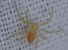 309820 – Photo : Christian Berquer – France (50)