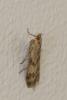 309089 – Photo : Olivier Gaubert – France (64)